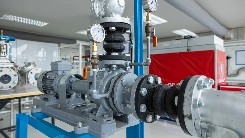 Pump Not Pumping: No Flow and Low Flow Diagnosis